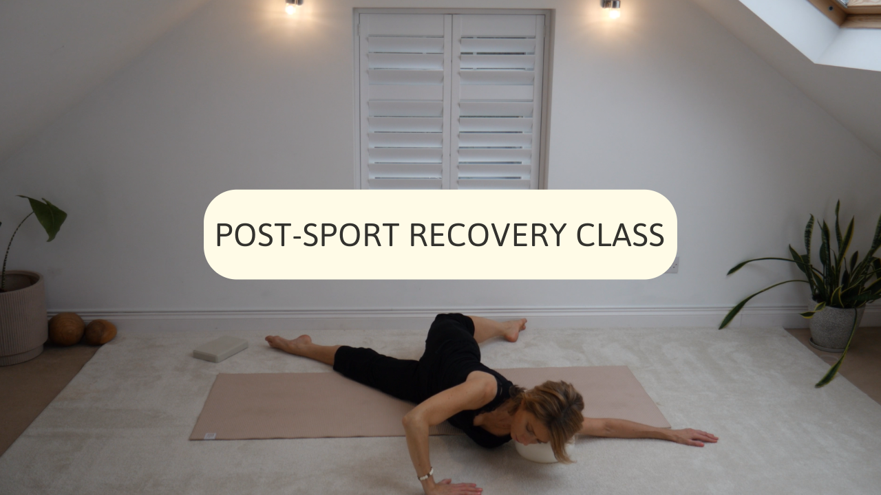 Your Movement Sanctuary Video