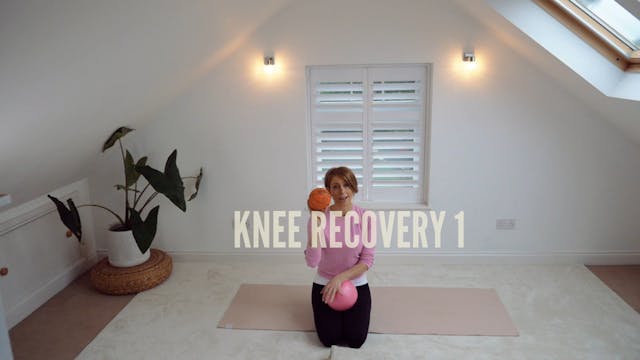 Knee Recovery 1