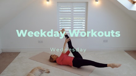 Your Movement Sanctuary Video