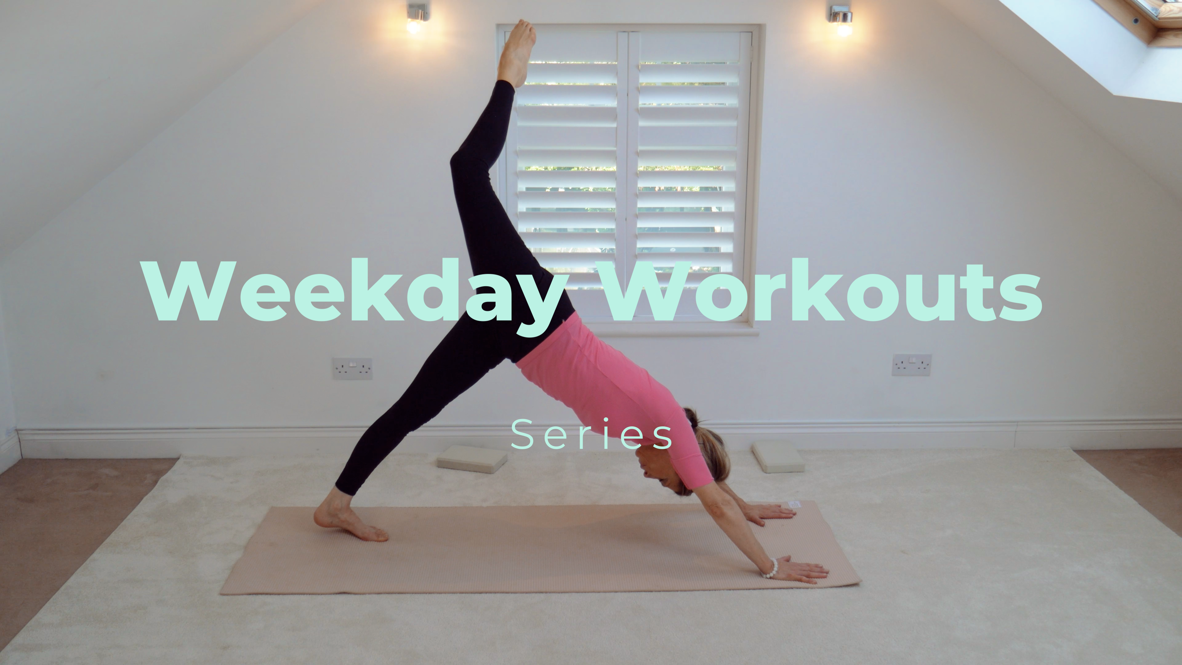 Your Movement Sanctuary Video