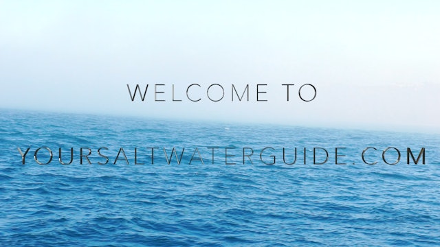 Your Saltwater Guide