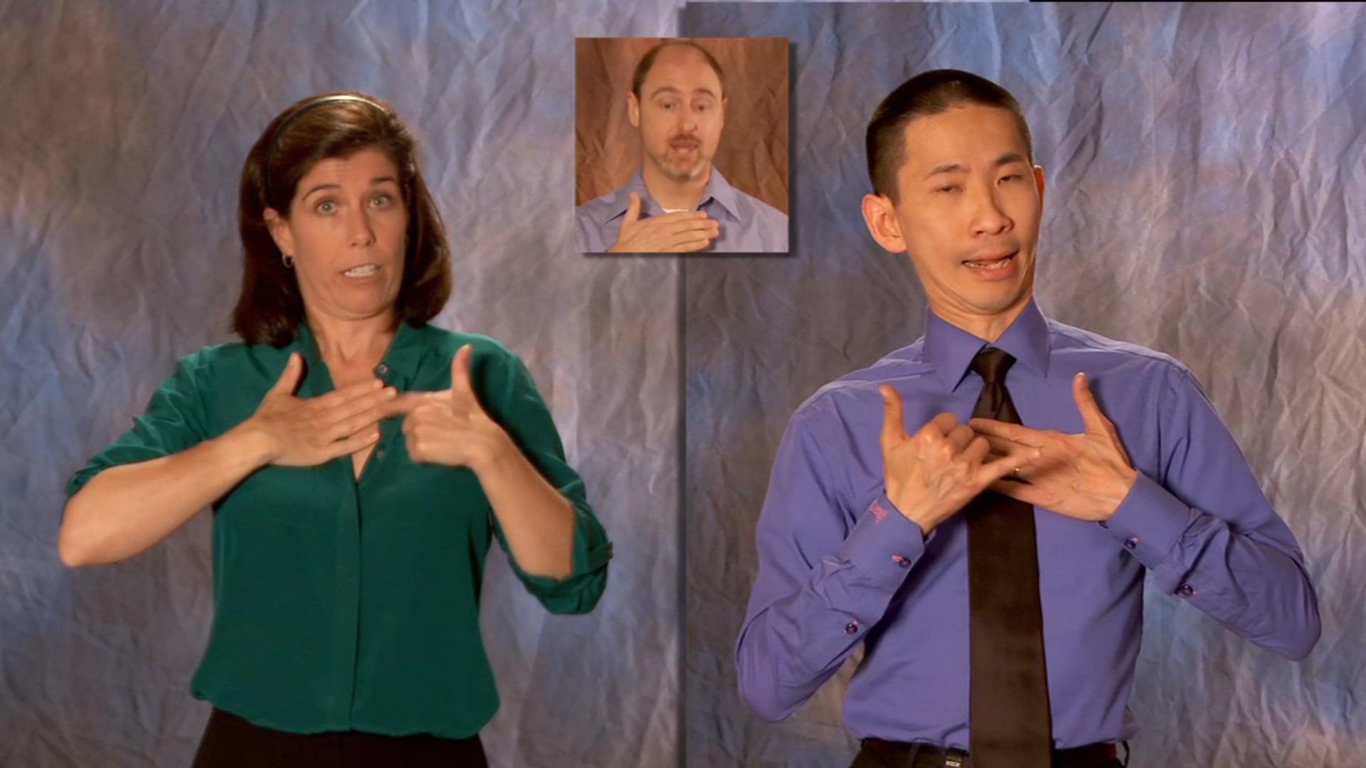 IDS4-5 7 Elements SideBySideTerp