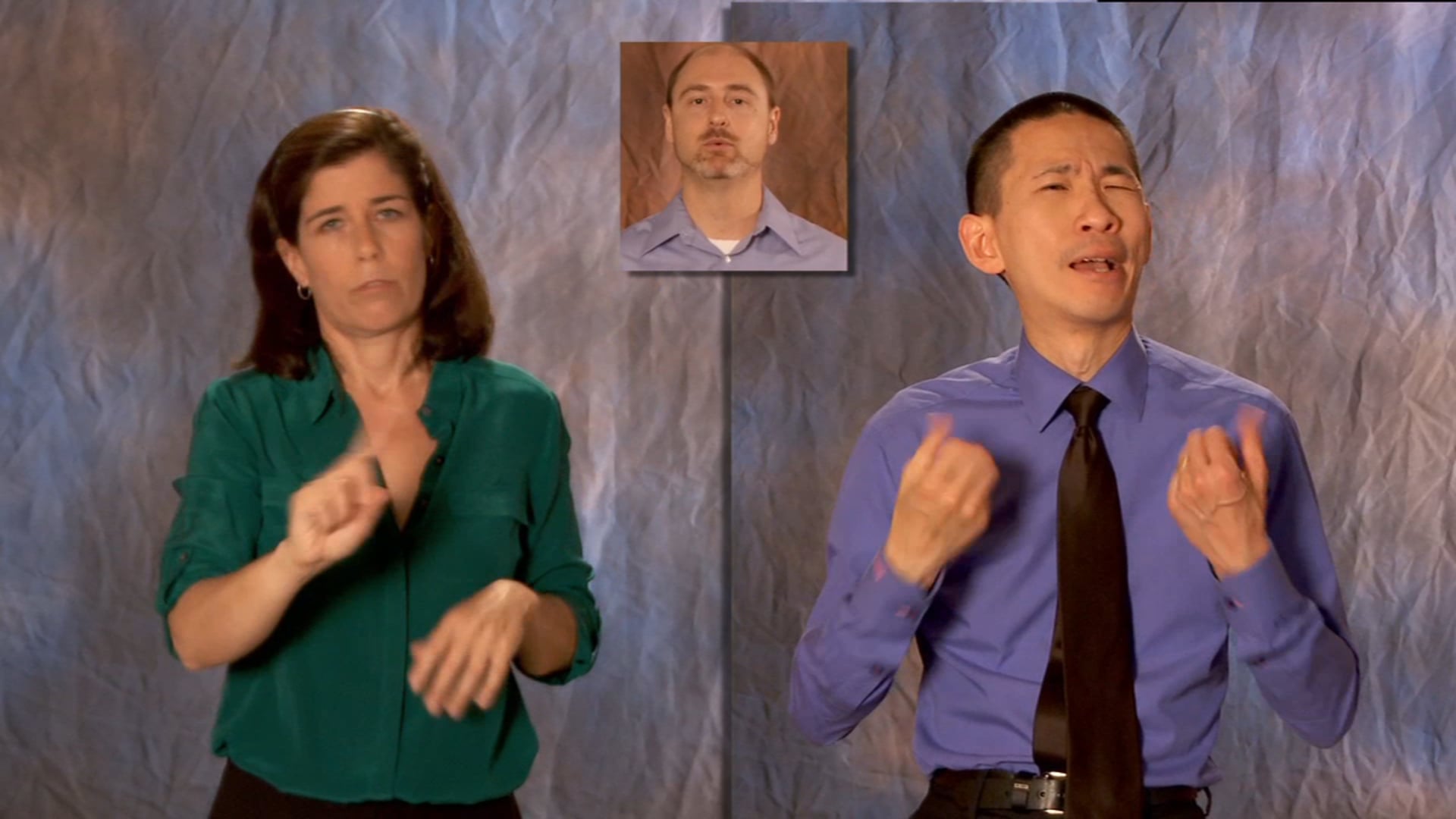 IDS SideBySide Terp Preview