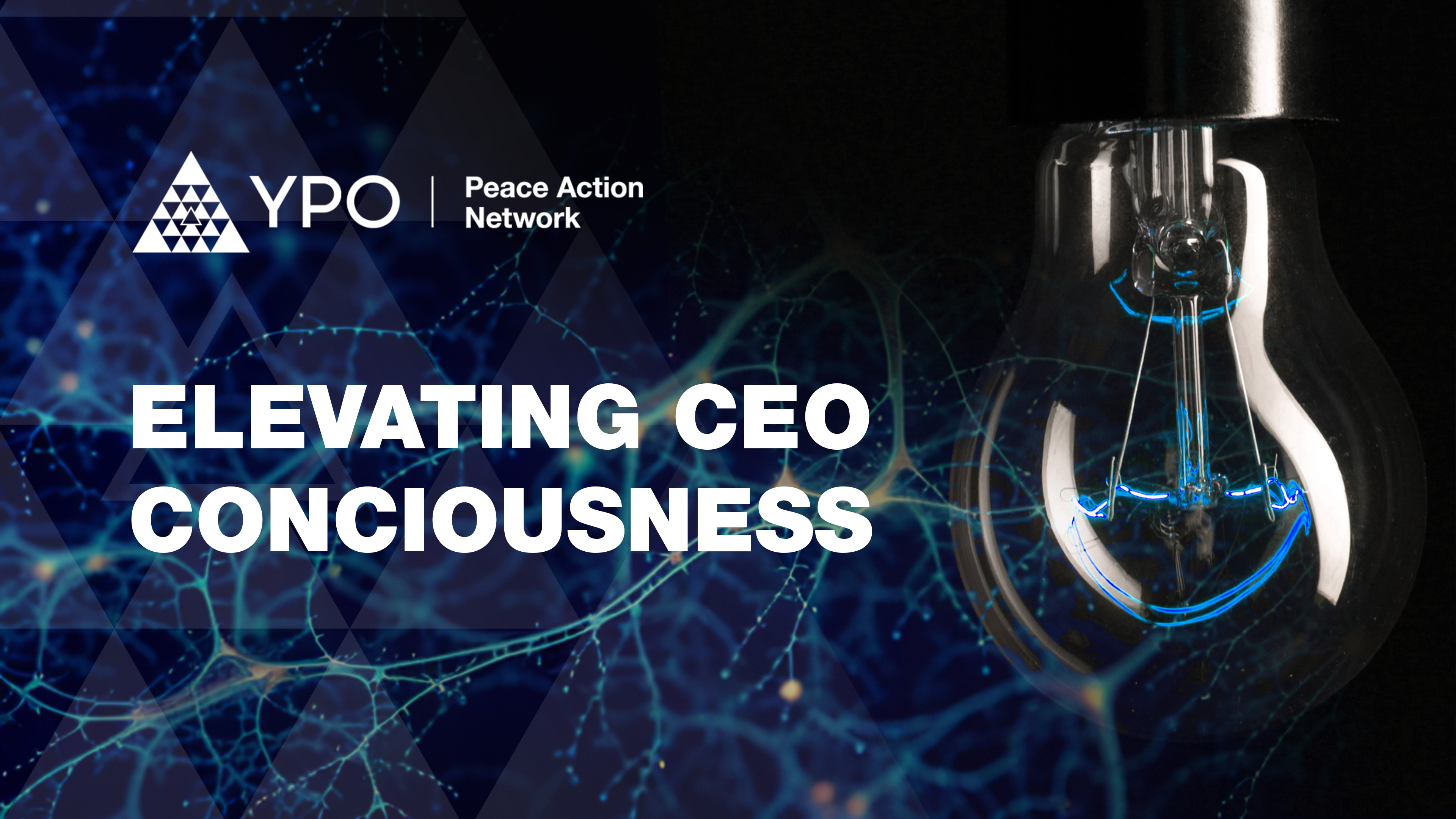 Elevating CEO Consciousness