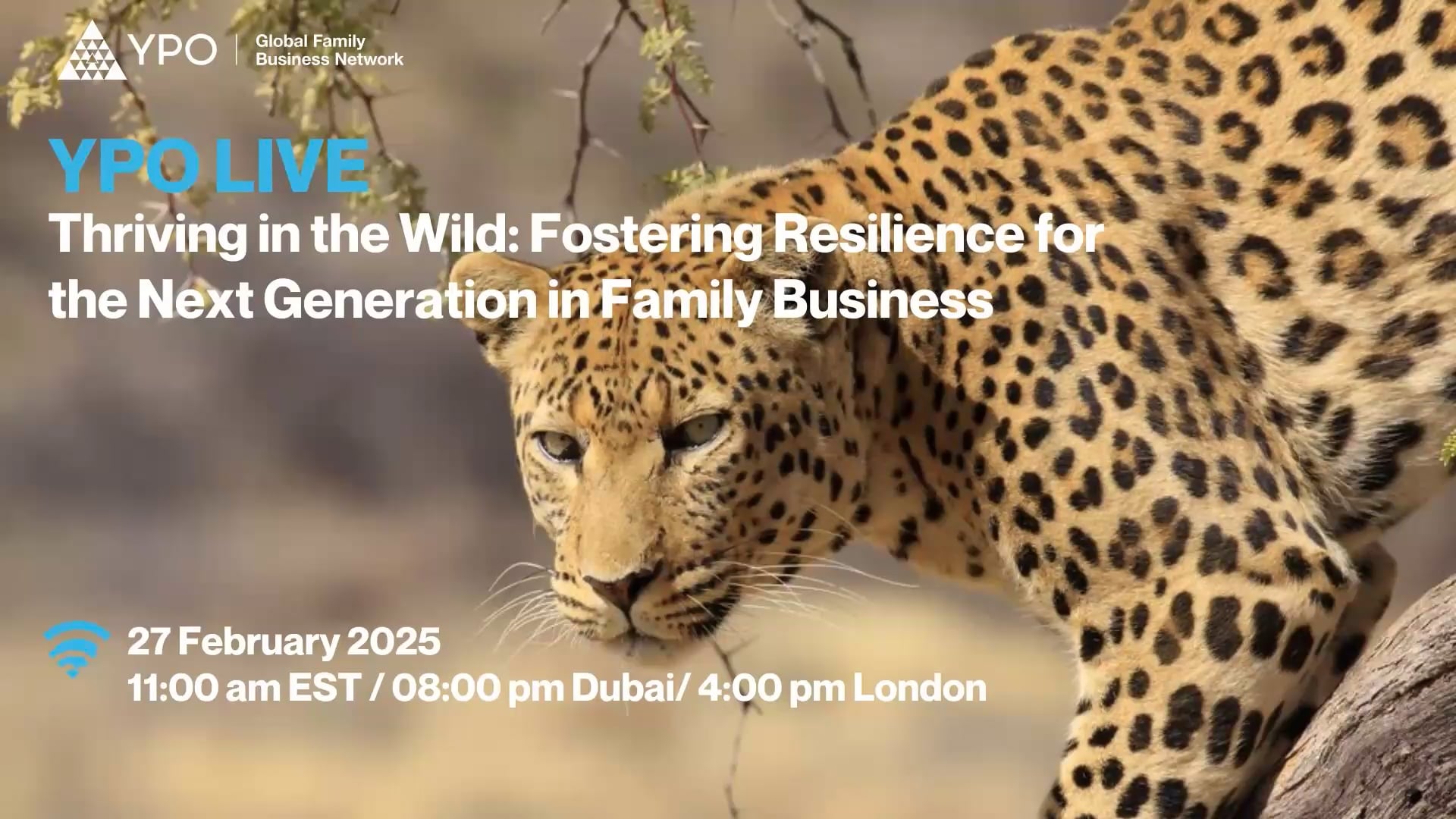 Thriving in the Wild: Fostering Resilience for the Next Generation in Family Business