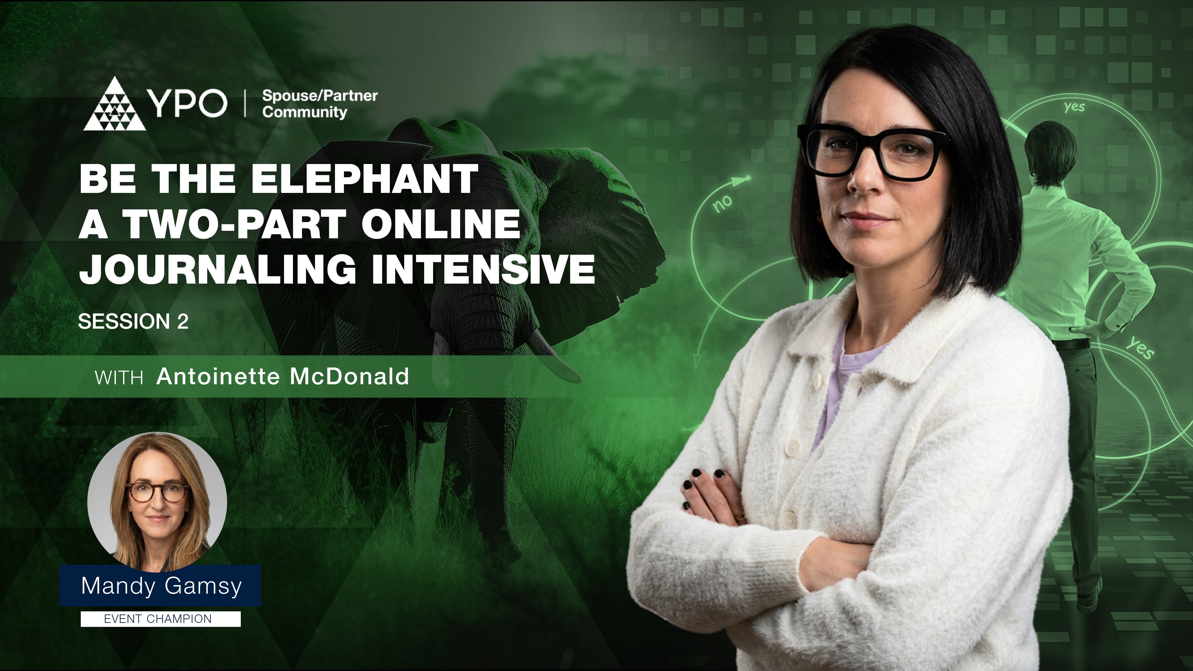 Be The Elephant - A Two-Part Online Journaling Intensive (Session 2)