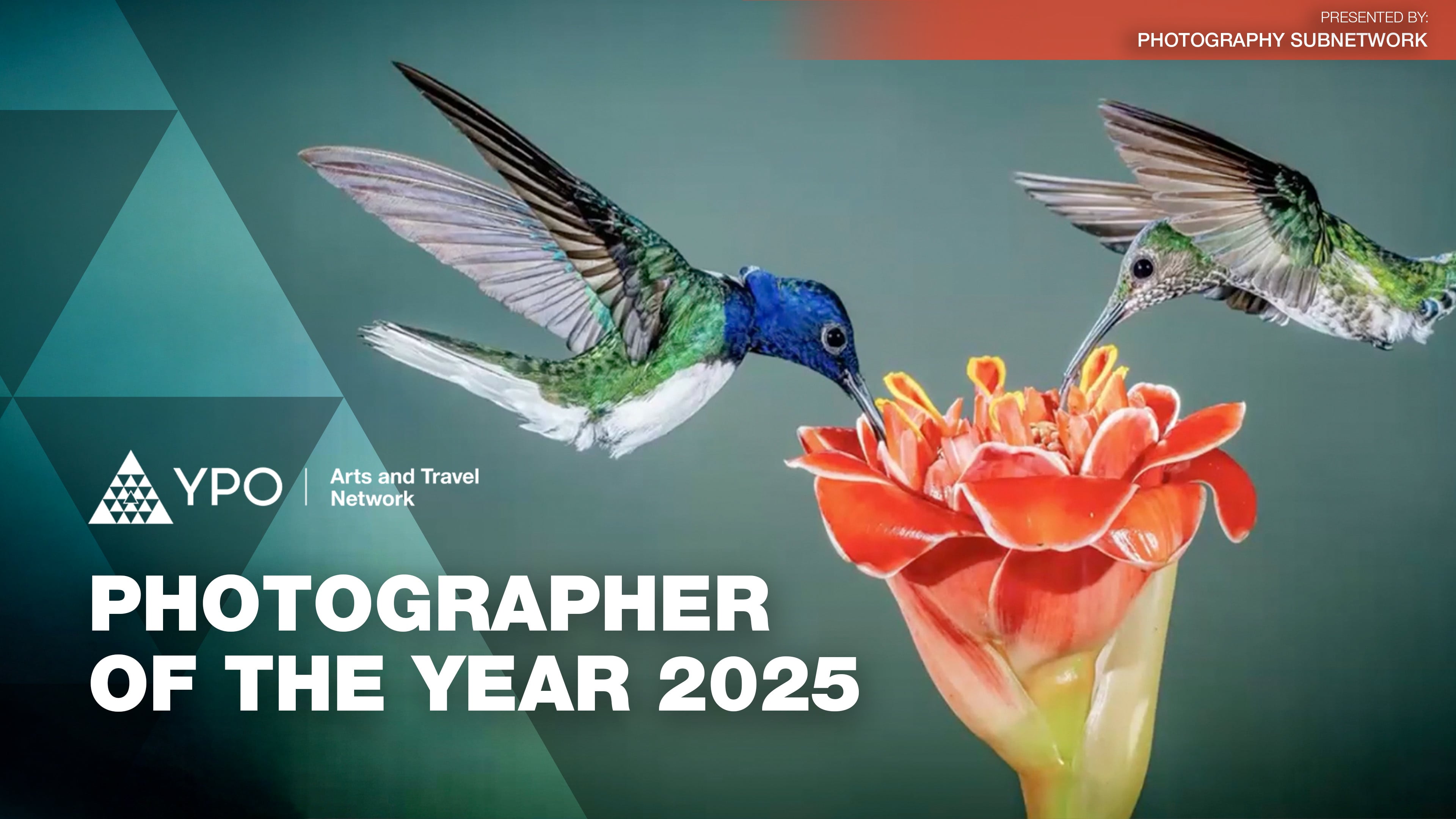 YPO Photographer of the Year 2025