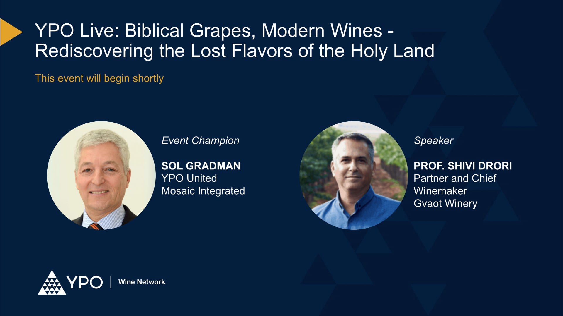 Biblical Grapes, Modern Wines - Rediscovering the Lost Flavors of the Holy Land