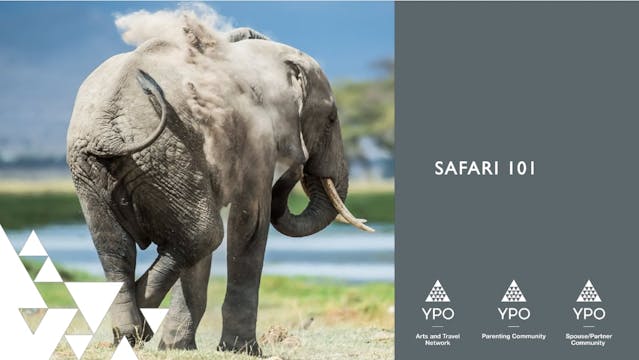 Safari 101 - Planning Your Best Safar...