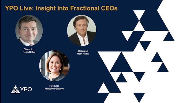 Insight into Fractional CEOs