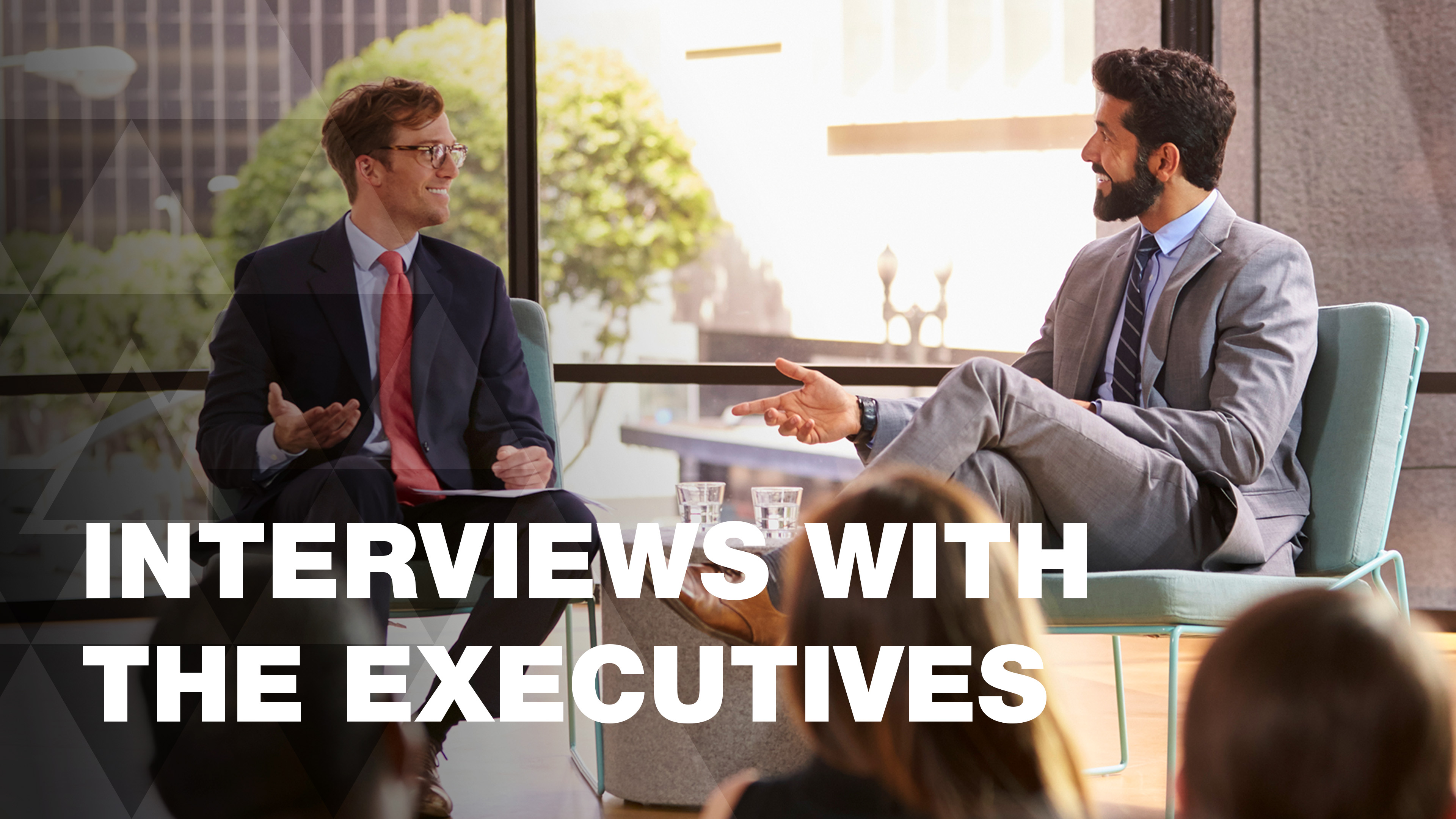 Interviews with Executives