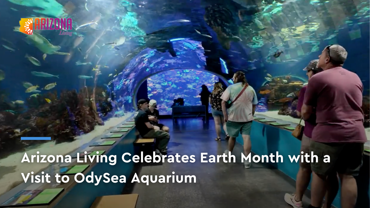Celebrating Earth Month at OdySea Aquarium | Arizona Living