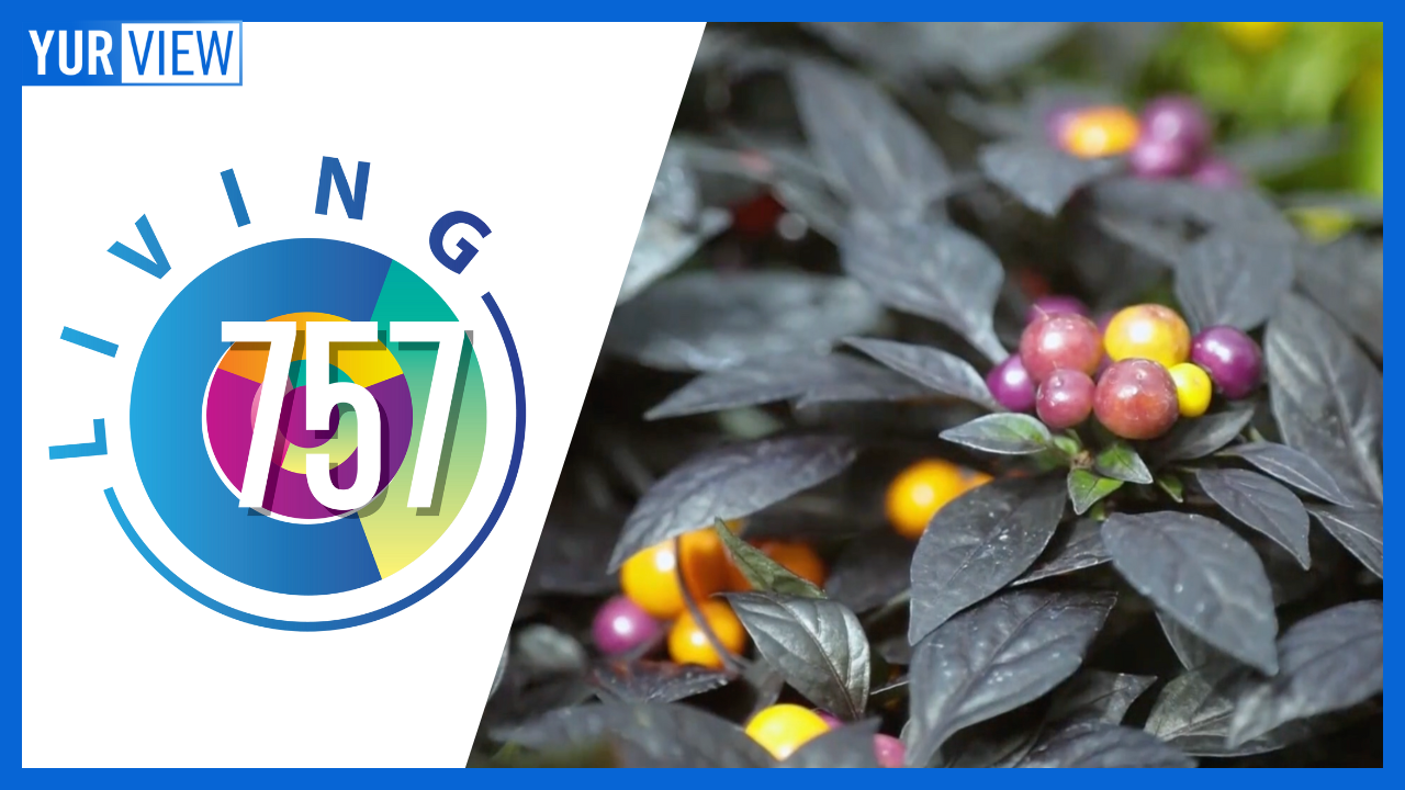 McDonald Garden Center, Actor Ravi Cabot-Conyers, & Will Overman | Living 757