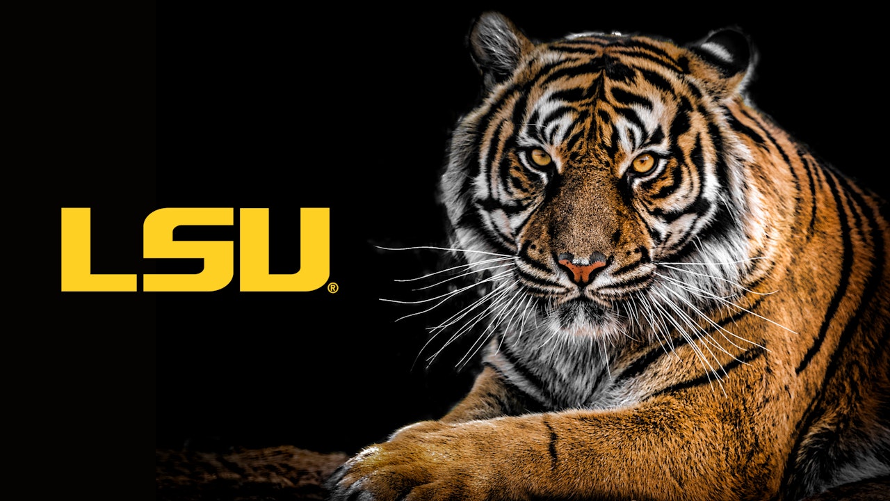 LSU Tigers (Free Content - No Subscription Needed)
