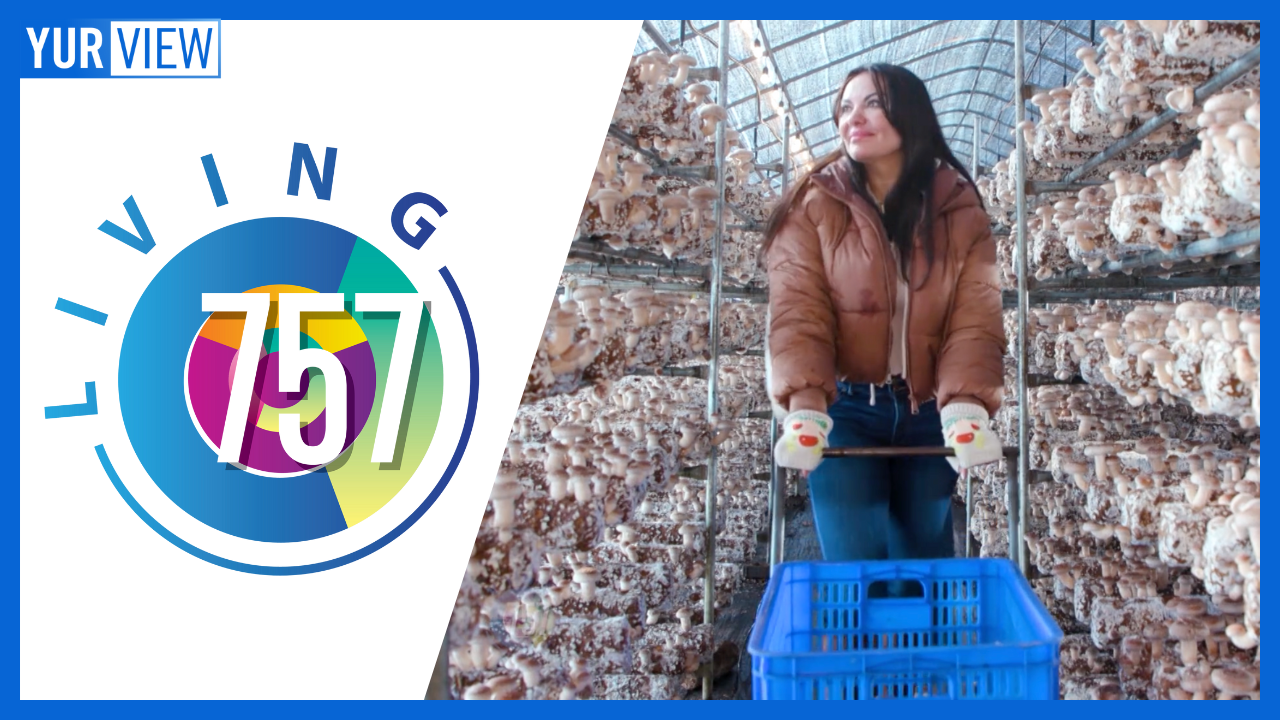 Georgia Mushroom Farm, Lobstah King, & Shuntell Diverse Live | Living 757 