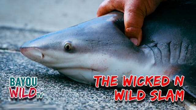 “The Wicked 'n Wild Slam” | From Jan ...
