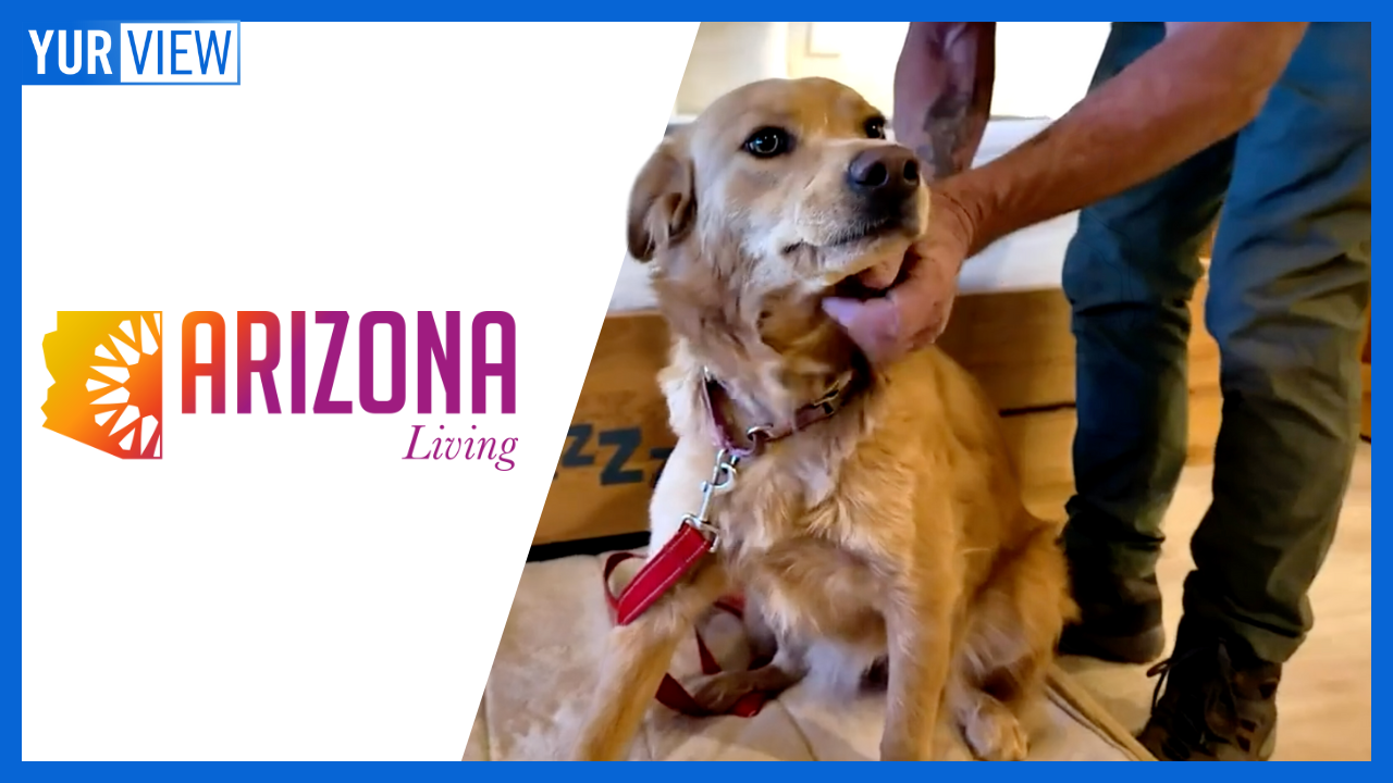 Pet-Friendly Destination, Black Theatre Troupe, Summer Design Tips | AZ Living 