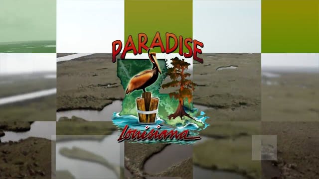 Paradise Louisiana #1027 | From Jun 1...