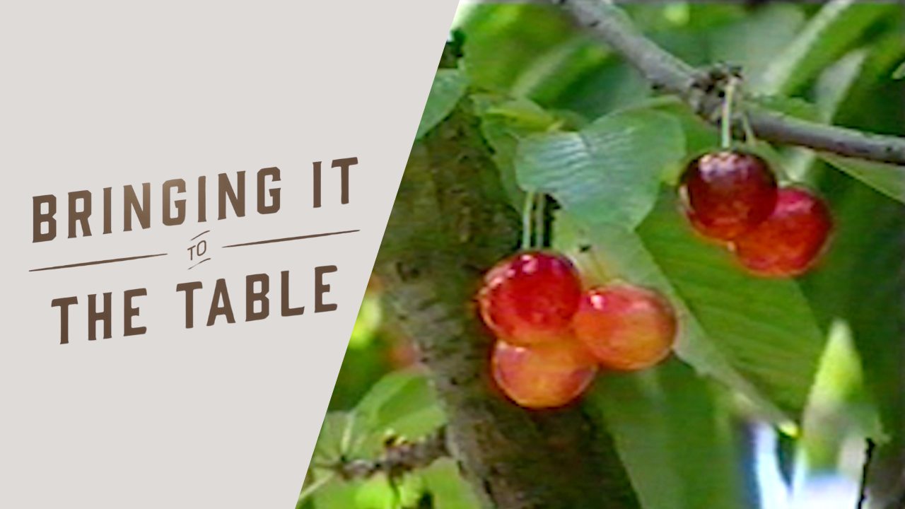 California’s Cherry Queen