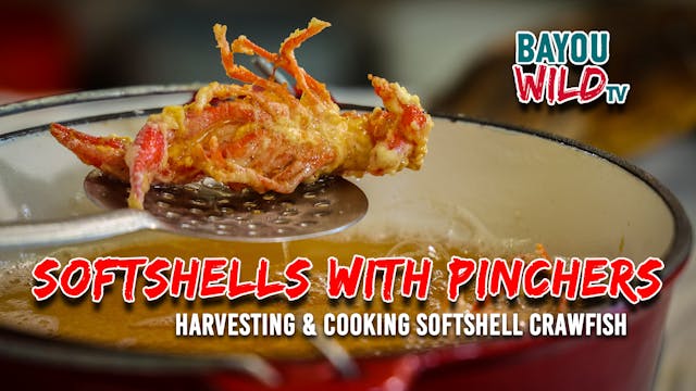“Softshells with Pinchers” | From Apr...