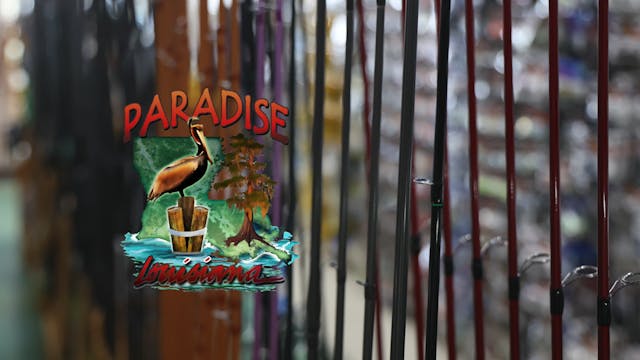 Paradise LA #1006 | From Jan 19, 2022