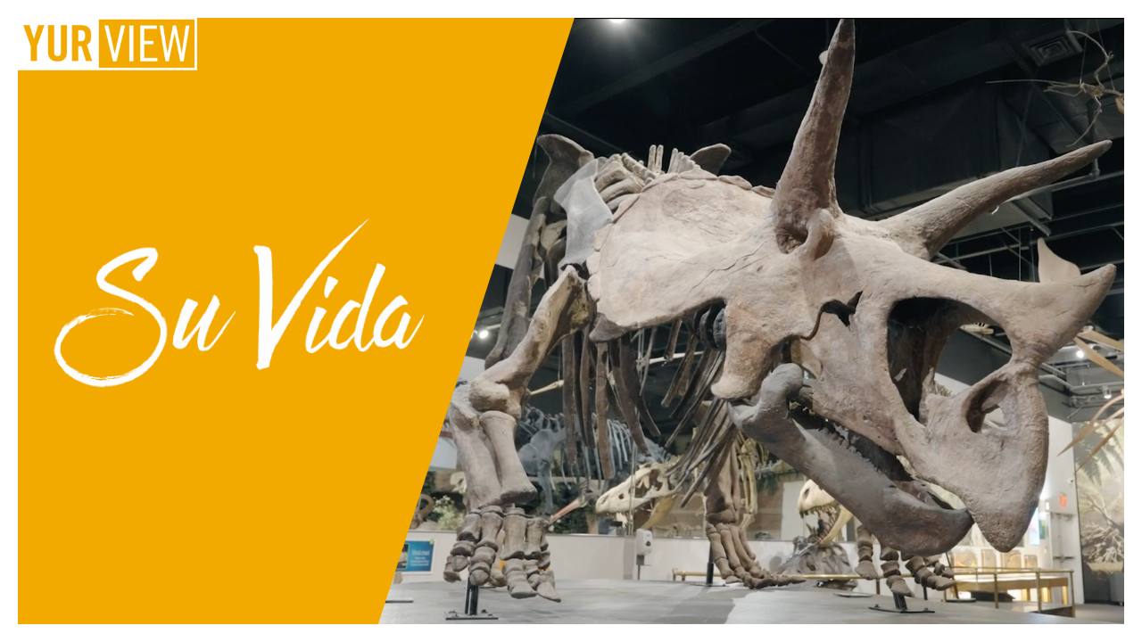 Visiting The Arizona Museum of Natural History & The Orpheum Theatre | Su Vida