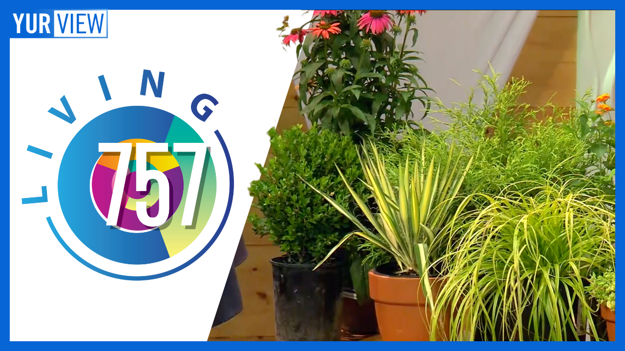 McDonald Garden Center, Michael Hawkins & The Brotherhood Performs | Living 757 