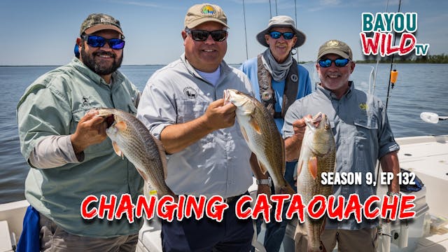 “Changing Cataouache” | From Aug 18, ...