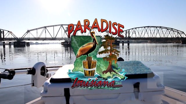 Paradise Louisiana #1003