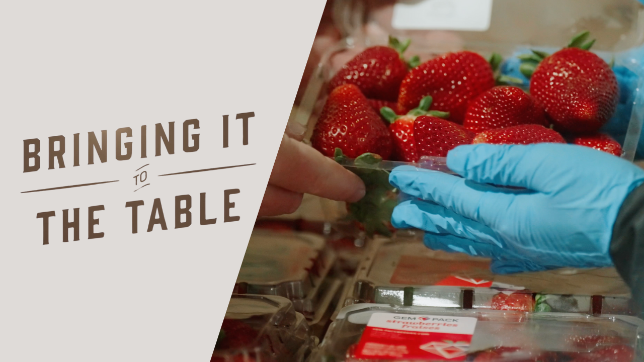 The Sweet Story of Strawberries, Sustainability and Stewardship