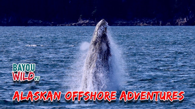 “Alaskan Offshore Adventures” | From Jul 28, 2022