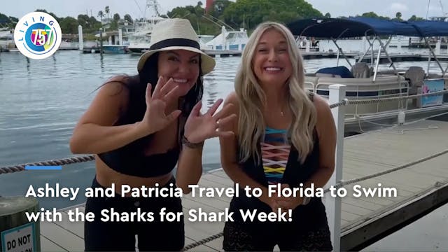 Ashley and Patricia Swim with the Sha...