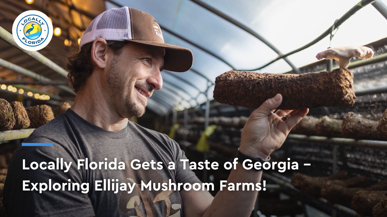 Farm-Fresh Fungi: Exploring Ellijay Mushroom Farms | Locally Florida