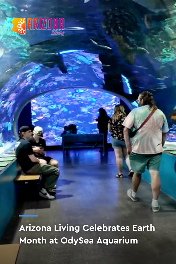 Celebrating Earth Month at OdySea Aquarium | Arizona Living