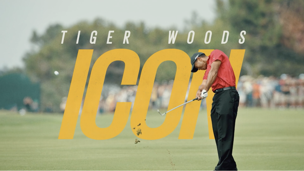 Tiger Woods : Icon