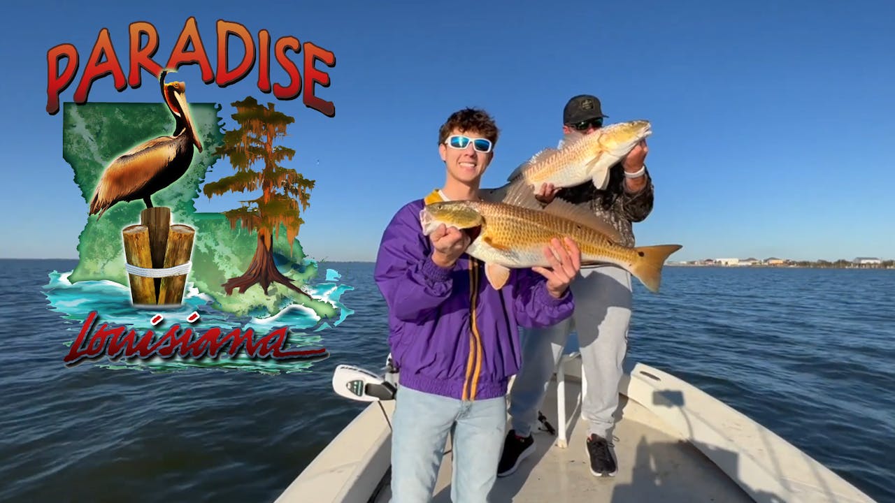 Paradise Louisiana 1005 From Jan 12, 2022 Paradise Louisiana YurView