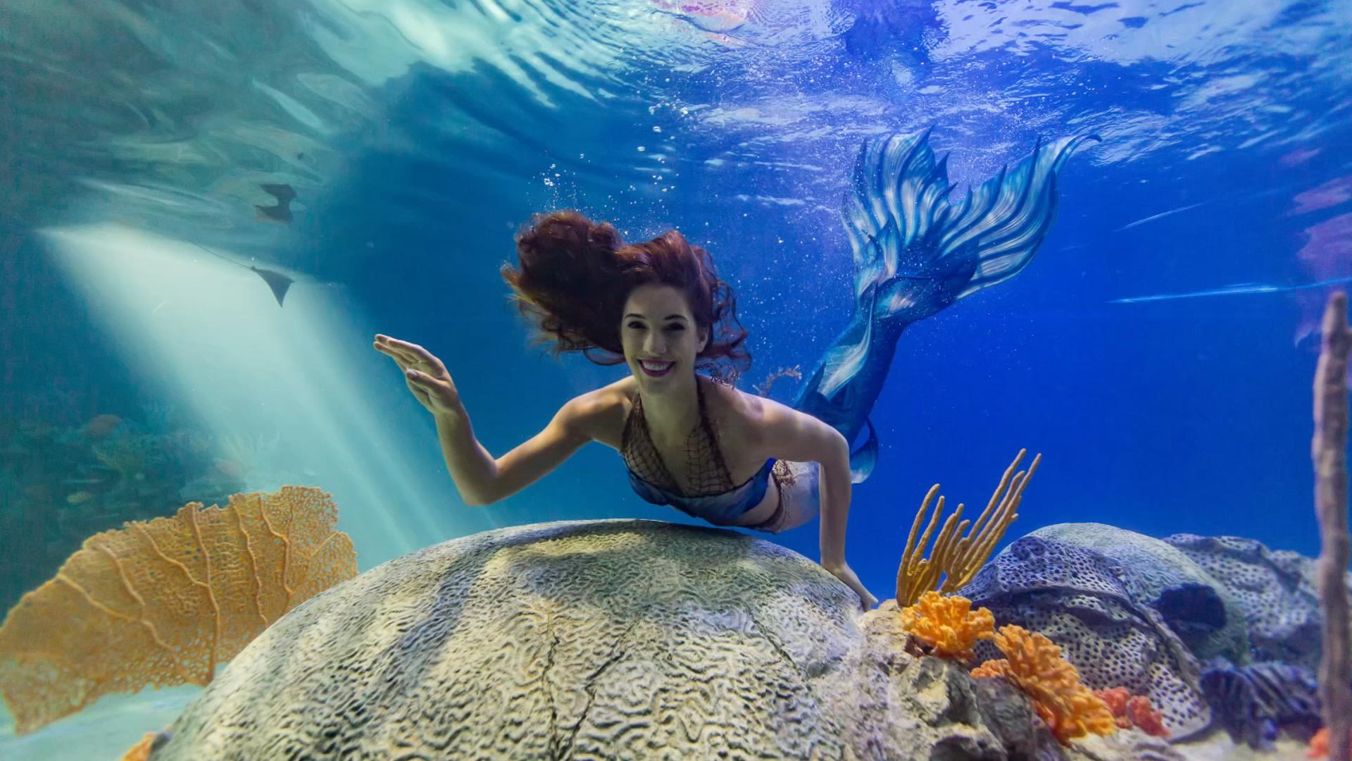 OdySea Aquarium, A Talk with Governor Hobbs, & Tucson Bug Exhibit | AZ Living