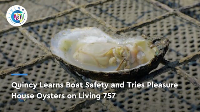 Quincy & Crew Venture Out to Try Plea...