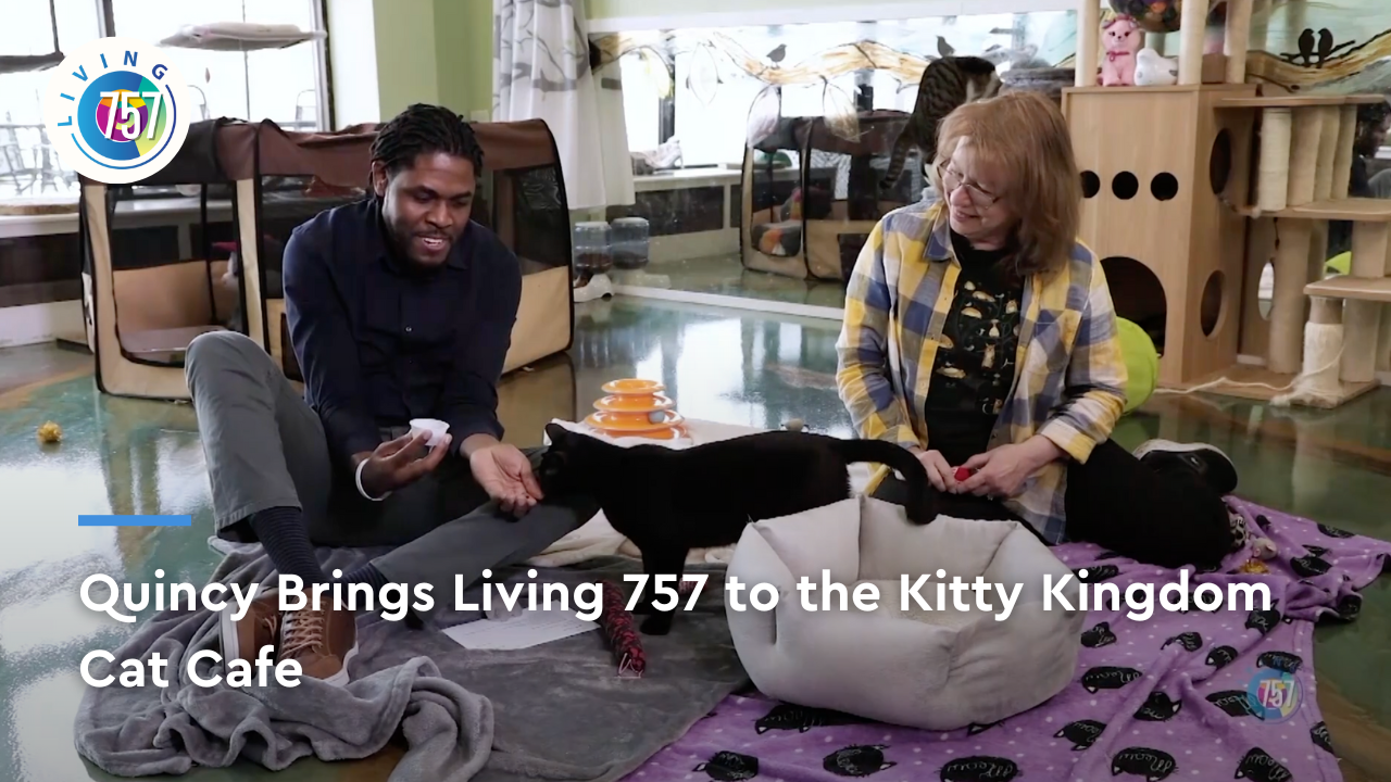 Quincy Visits the Kitty Kingdom Cat Cafe | Living 757