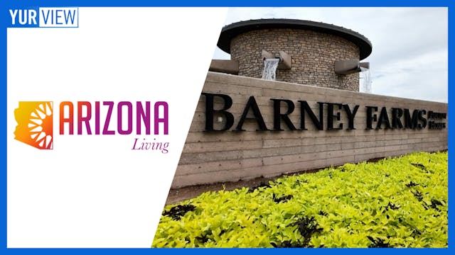 Barney Farms In Queen Creek, Gun Safe...