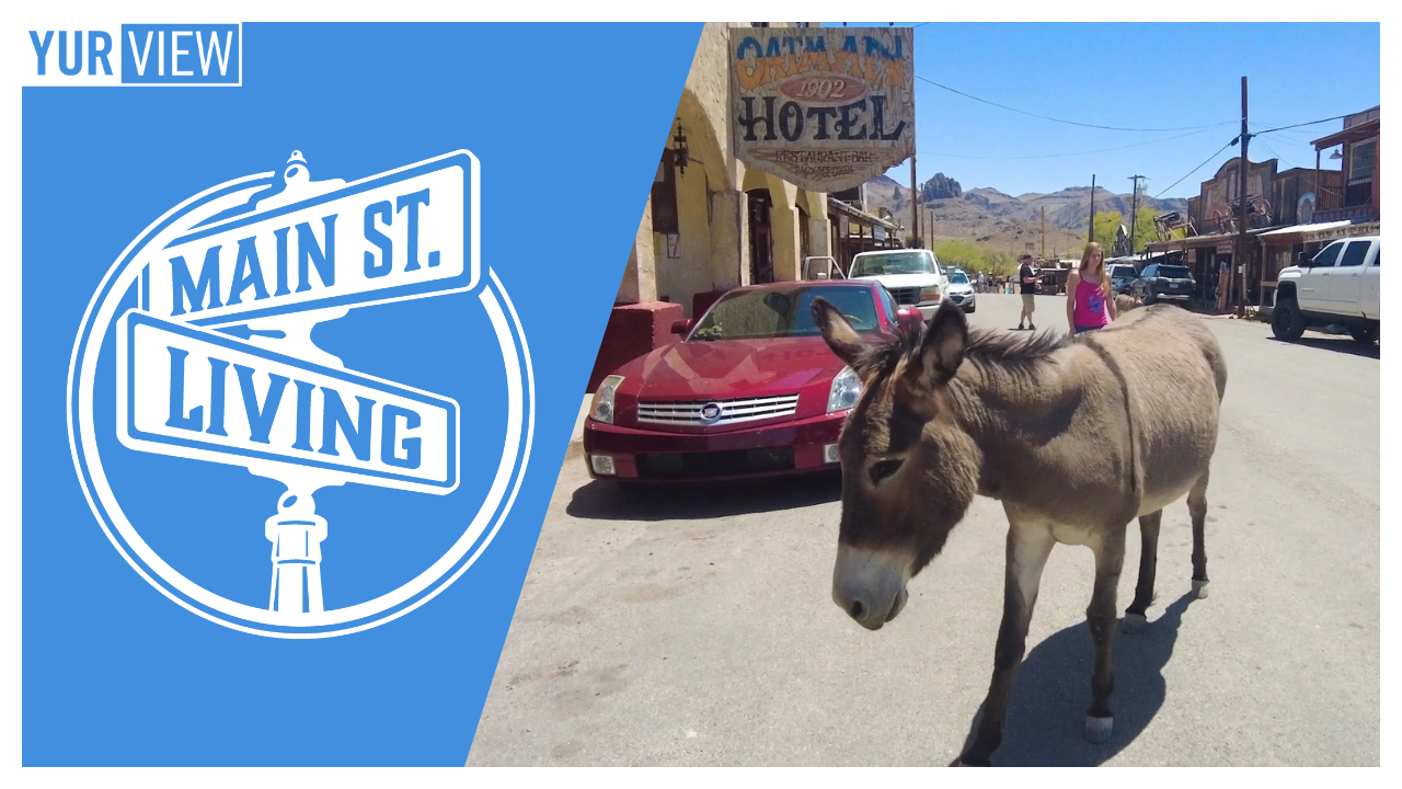 Final Episode: Taking a Stroll Down Main St. & Memory Lane | Main St. Living 