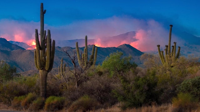 Arizona Living: Earth Day
