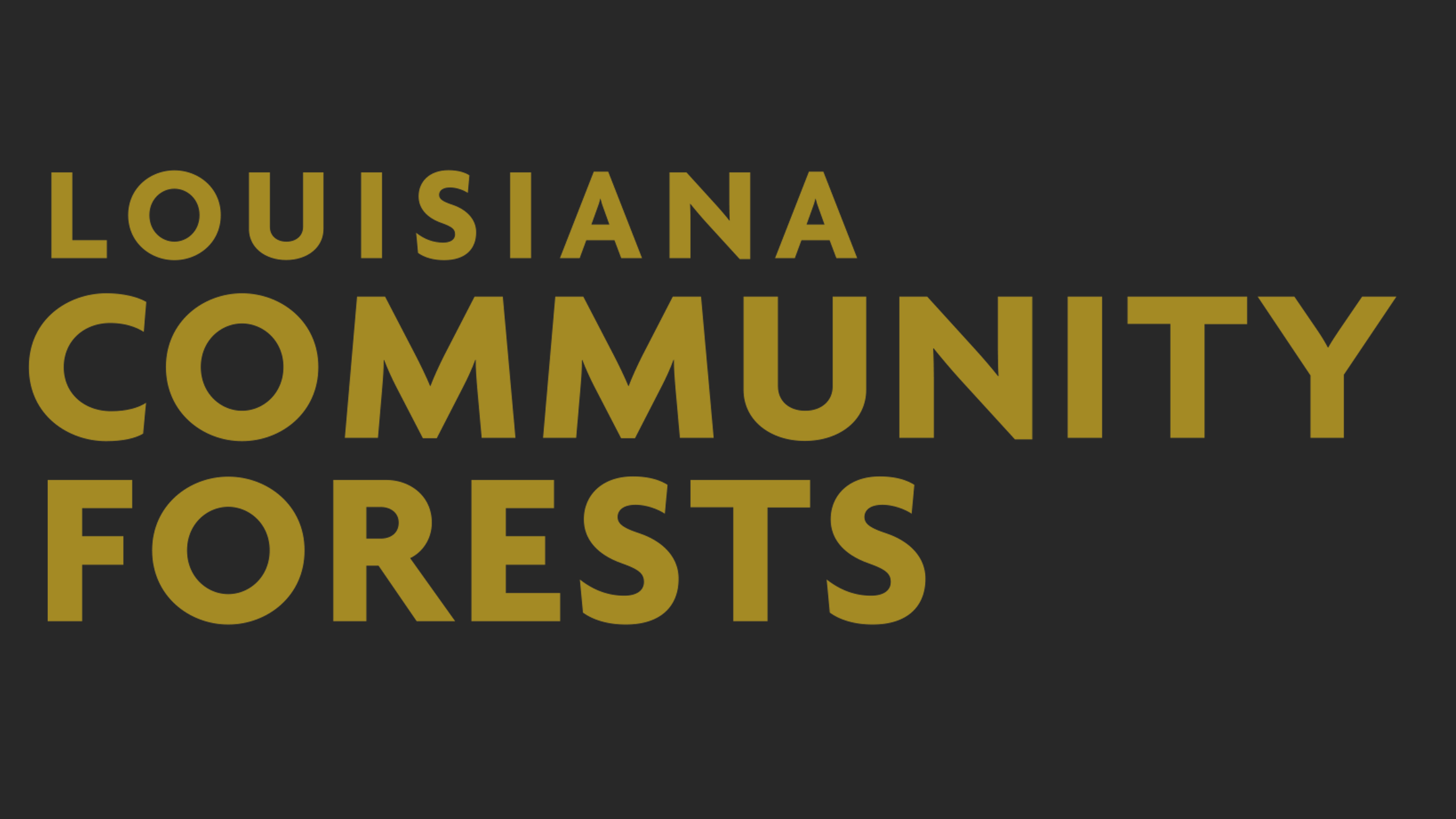 More Than Paper | Baton Rouge Green