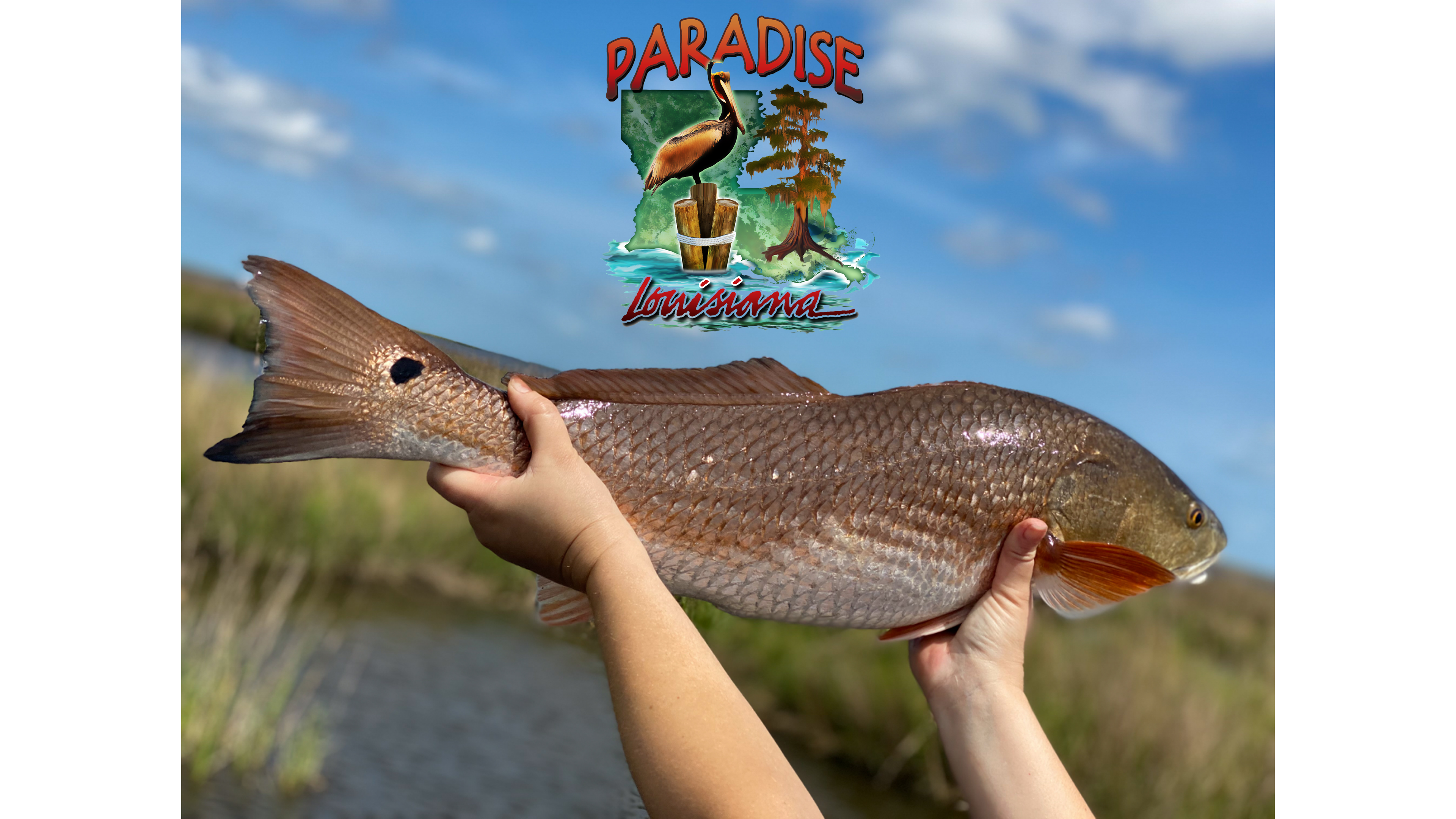 Paradise Louisiana #1012 | From Mar 2, 2022