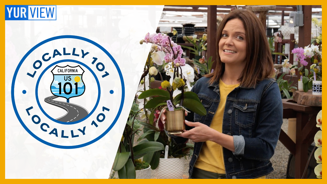 Blossoming Orchids, Paralympic Triumphs, Youth Safety, & more | Locally 101