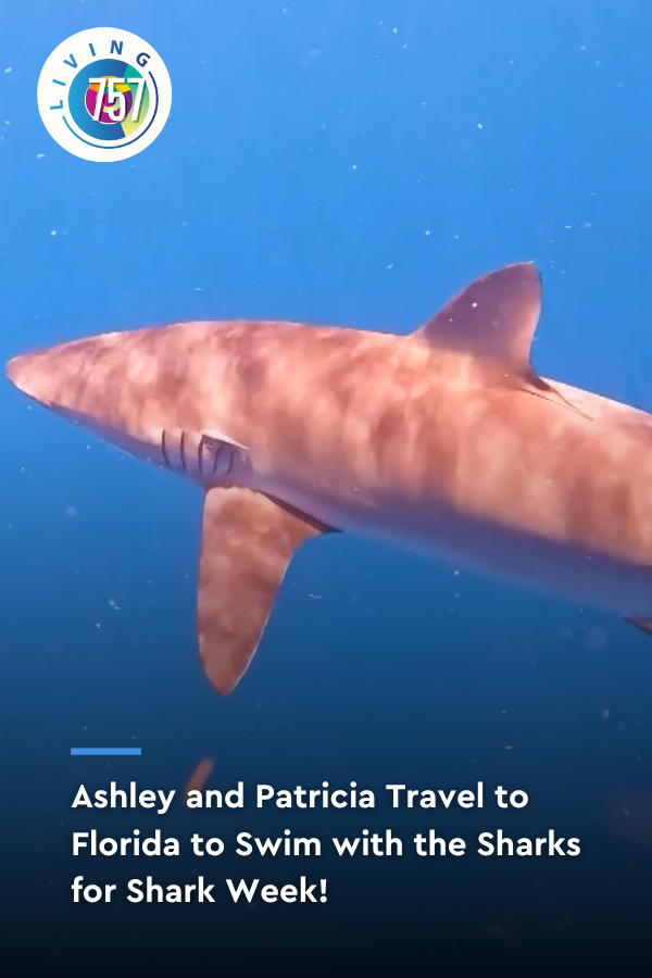 Ashley and Patricia Swim with the Sharks for Shark Week | Living 757
