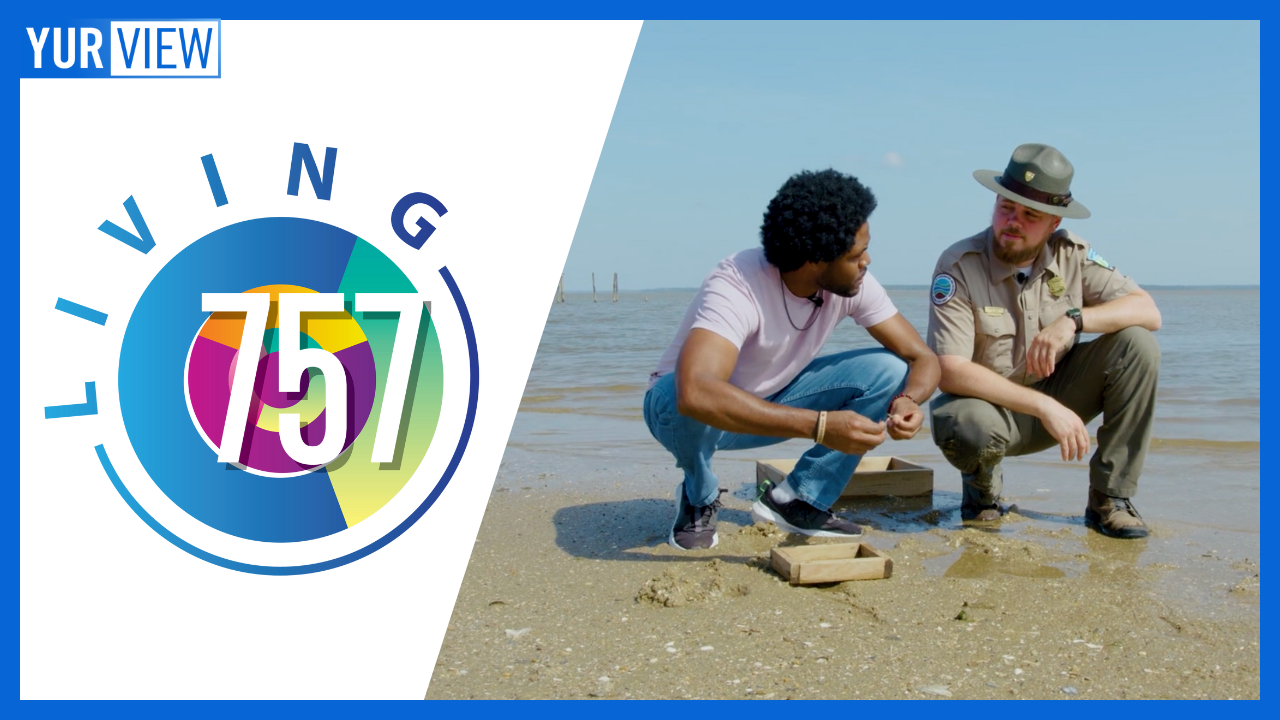 Finding Shark Teeth at Chippokes State Park, Plus Tacos & Cheese | Living 757 