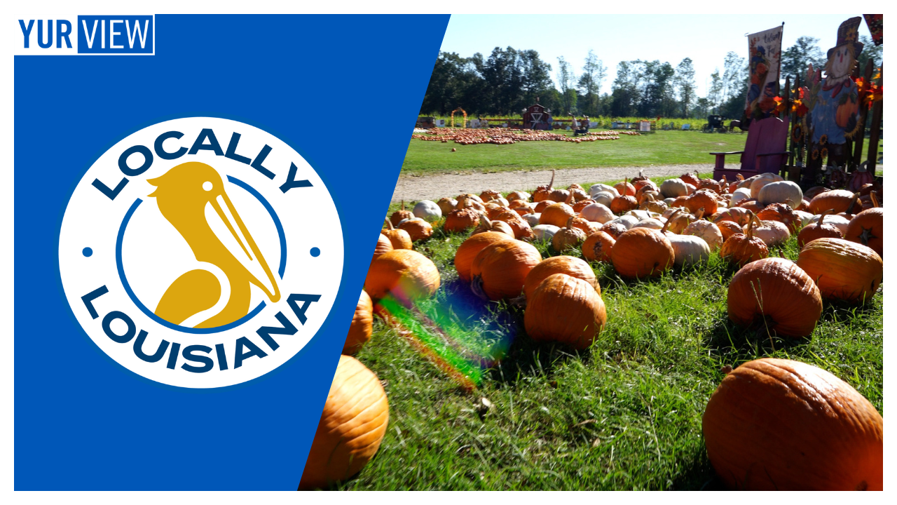 Halloween Fun: Pumkin Patch, Face Painting, & Ghost Tours | Locally Louisiana
