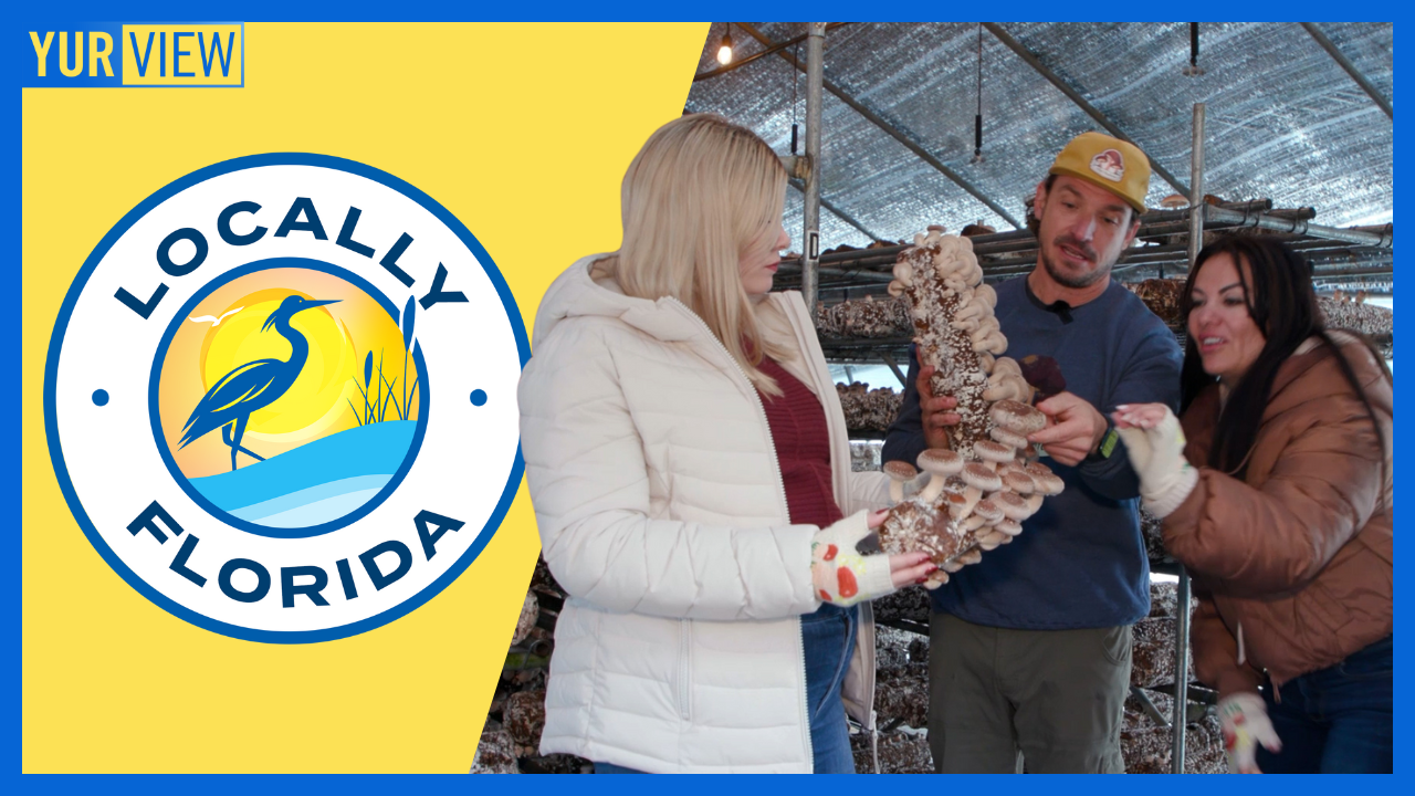 Hitting the Road to Explore a Georgia Mushroom Farm | Locally Florida