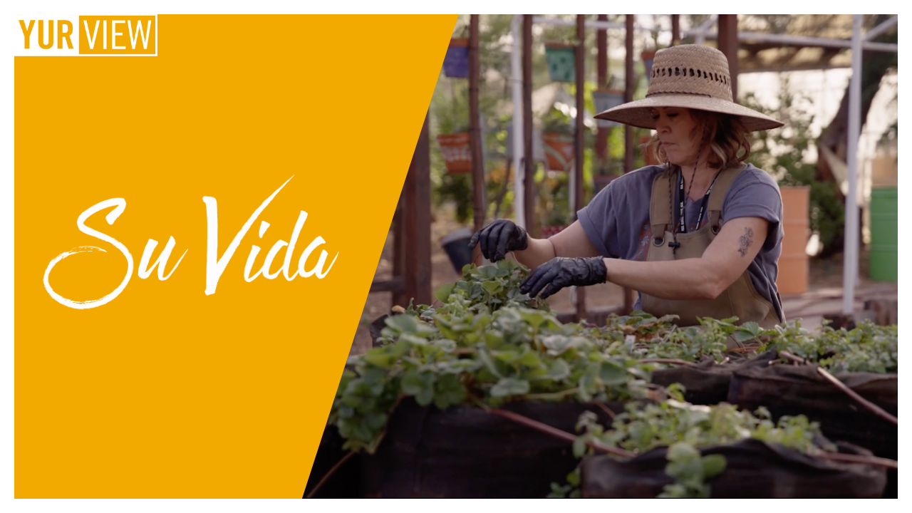 Visiting St. Vincent de Paul’s Urban Farm & Making Conchas! | Su Vida